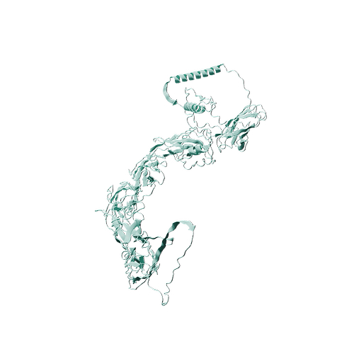 Human CDH1 (C-6His, HEK293)(Asp155-Ile707)